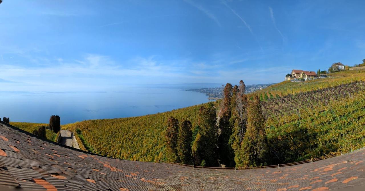 Domaine De La Crausaz Grandvaux ภายนอก รูปภาพ